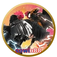 sowin88