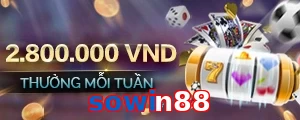 sowin88