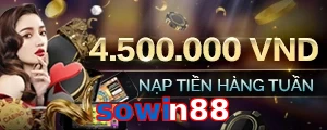 sowin88