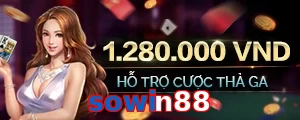 sowin88