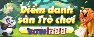 sowin88