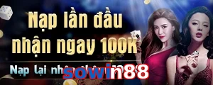 sowin88