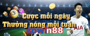sowin88